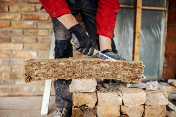 Best Insulation Removal Services  in Bowling Green, OH