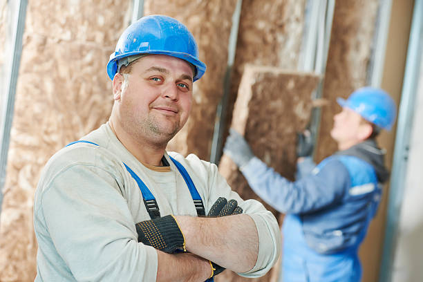 Best Insulation Contractors for Homes  in Bowling Green, OH
